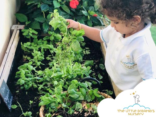 gardening for kids in nursery in Dubai