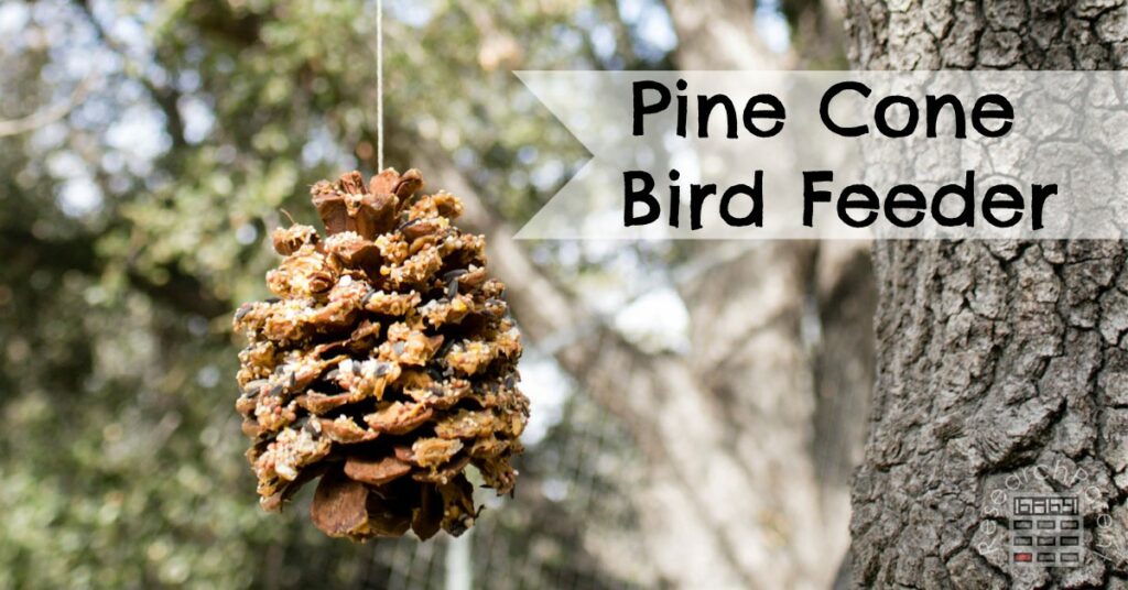 Pine cone bird feeder