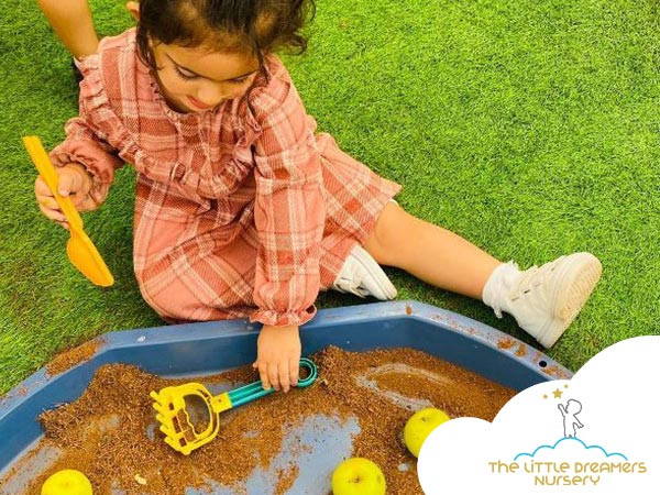 outdoor activities and develop children's curiosity