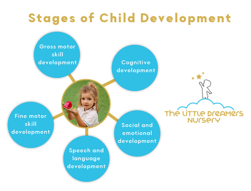 child development skills