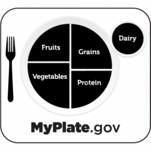 NUTRITION GUIDE FOR PRESCHOOLERS visual data 8