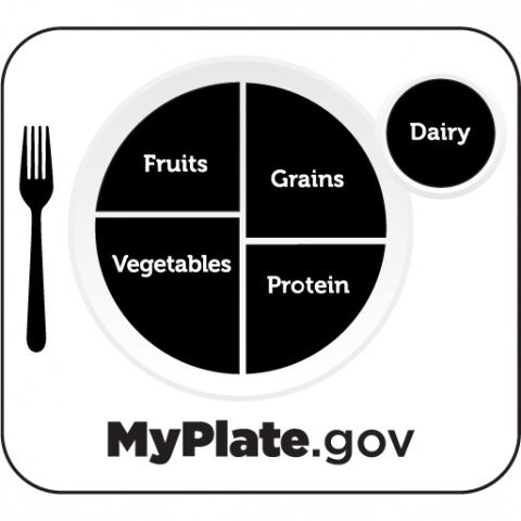 myplate icon - nursery nutrition guide