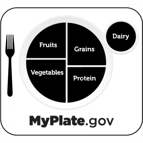 https://dreamersnursery.com/wp-content/uploads/2022/10/myplate-icon-nursery-nutrition-guide.png